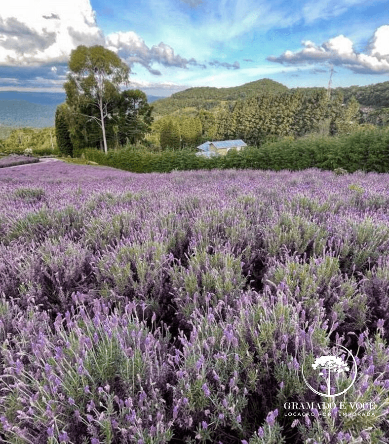 Chalé cabana da fada em Gramado