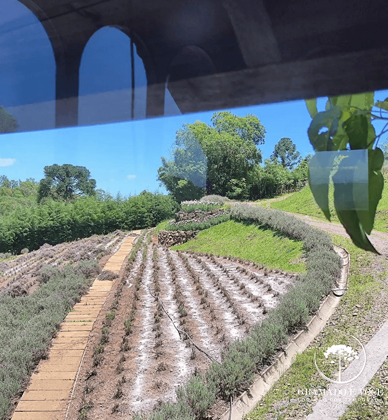 Torre Viking con Vista a los Campos de Lavanda